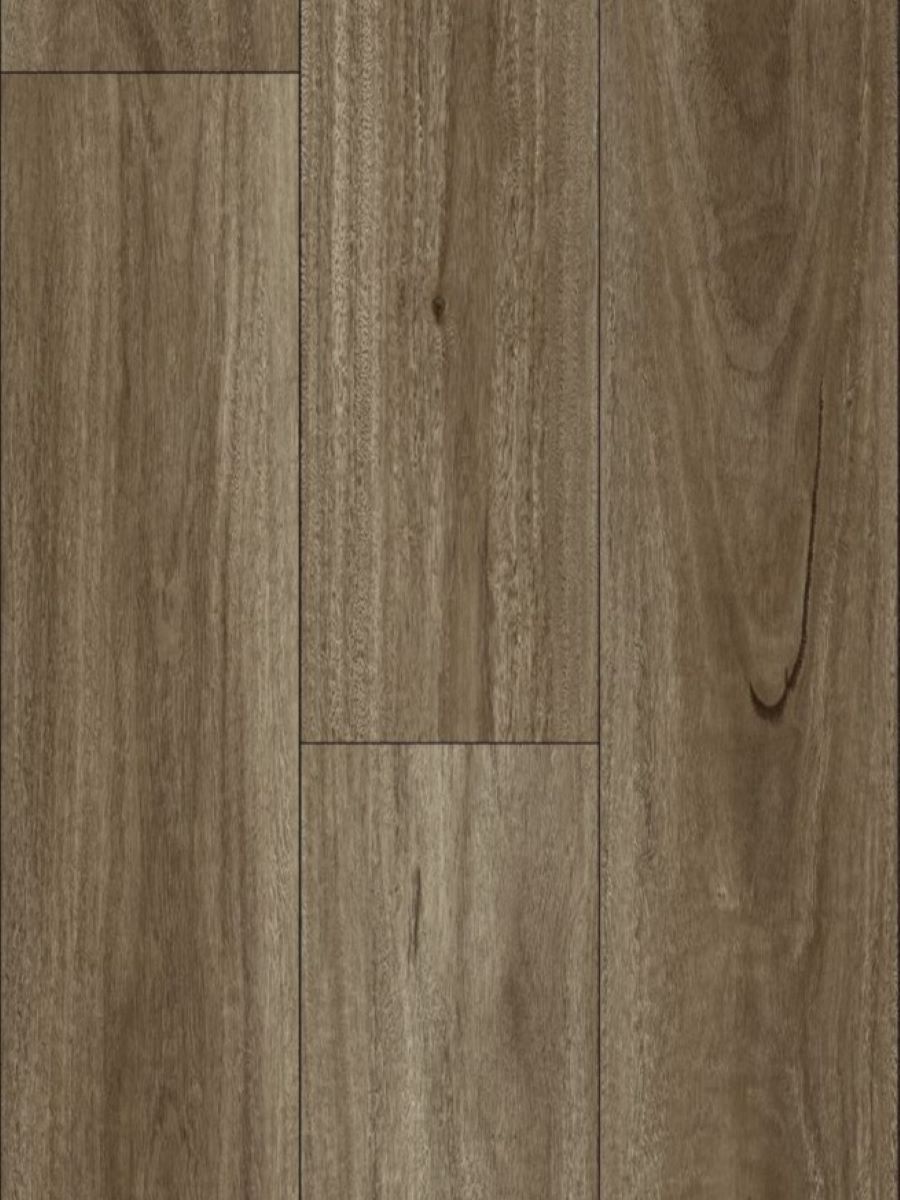 Spotted Gum
